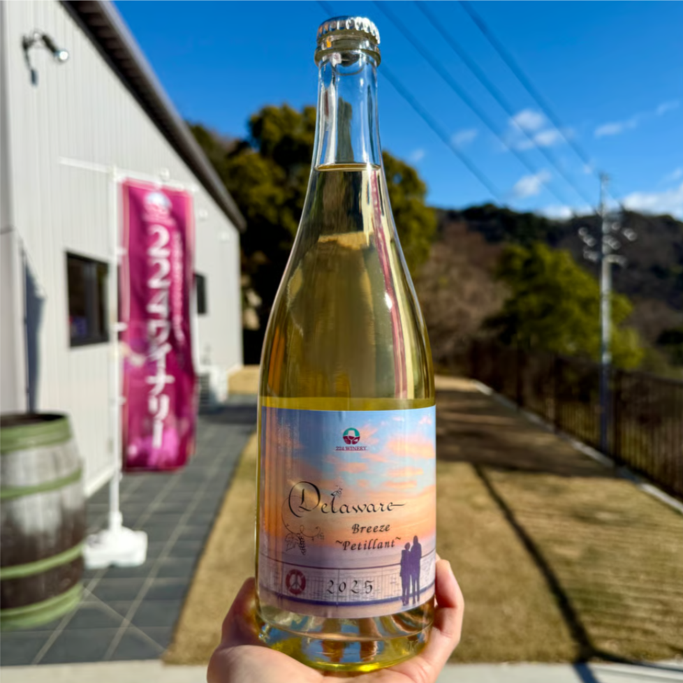 デラウェア～そよ風ペティヤン　２０２５